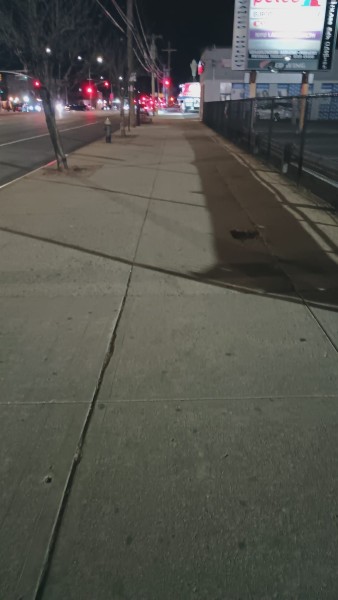 Street Sweeping in Canarsie, NY (3)