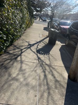 Sidewalk Cleaning in Howard Beach, NY (2)